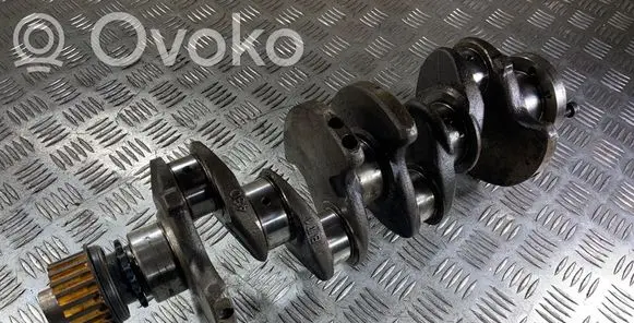 Volvo C30 Crankshaft 
