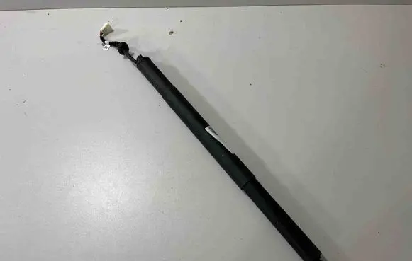 Tailgate/trunk strut/damper