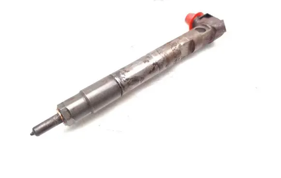 Mercedes-Benz Sprinter W906 Fuel injector 28342997 A6510704987