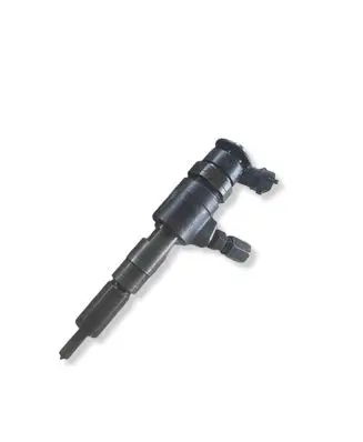 Peugeot 1007 Fuel injector 0445110252