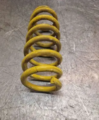 Rear coil spring