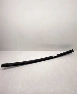 Rear door glass trim molding