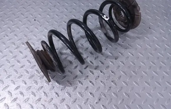 Rear coil spring
