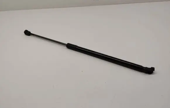 Tailgate strut