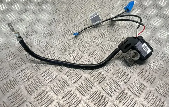 BMW X1 E84 Negative earth cable (battery) 9215953