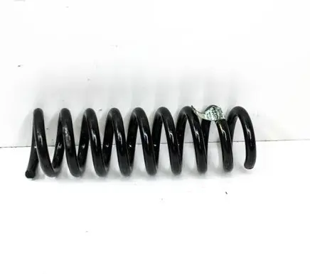 Chevrolet Camaro Rear coil spring 84153696