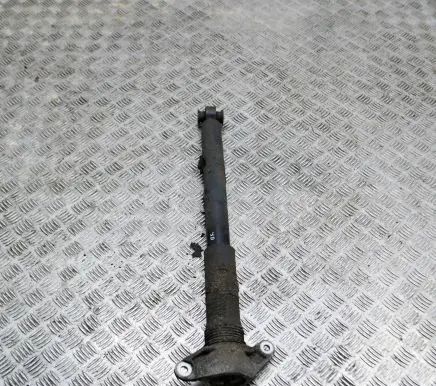 Jaguar I-Pace Rear shock absorber/damper J9D318W002AC GX6318A145XX