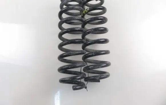 Rear coil spring