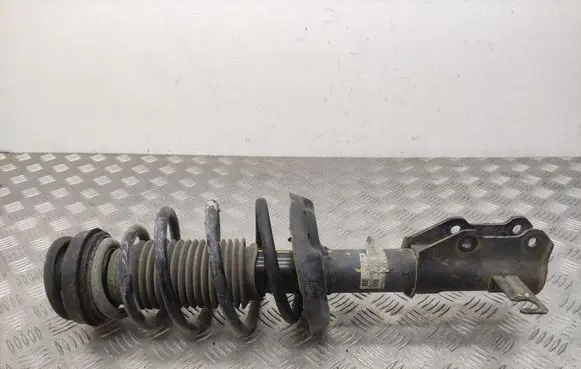 Opel Insignia A Front shock absorber/damper