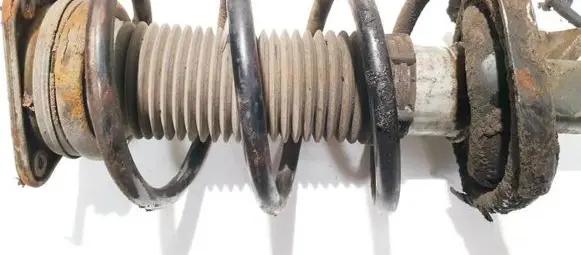 Ford Focus C-MAX Front coil spring