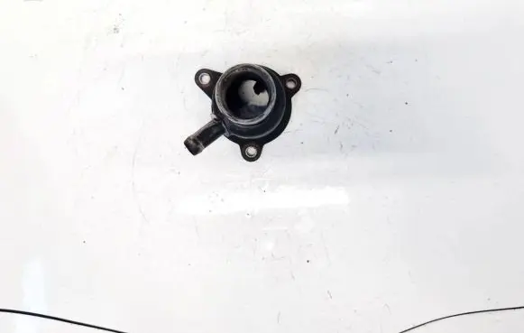 Renault Laguna II Engine coolant pipe/hose 7700103300