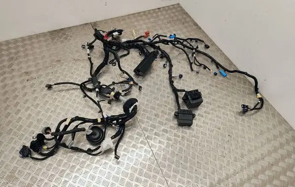 Renault Scenic E-Tech V Other wiring loom 241055MZ0B SEWSMAA4 0N0002