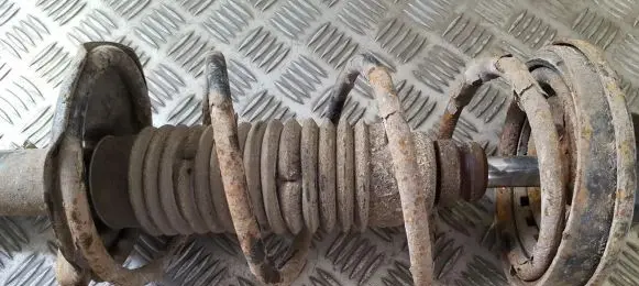 Suzuki Baleno EG Rear coil spring