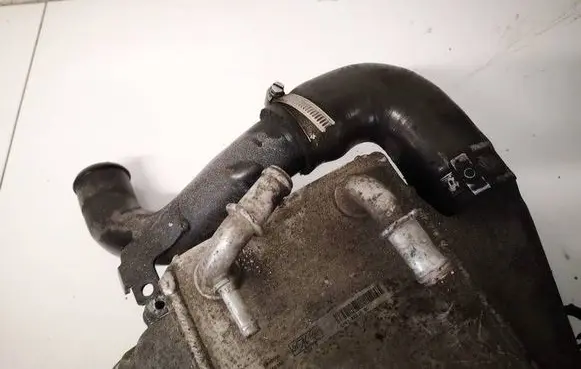 Ford Focus Intercooler hose/pipe 