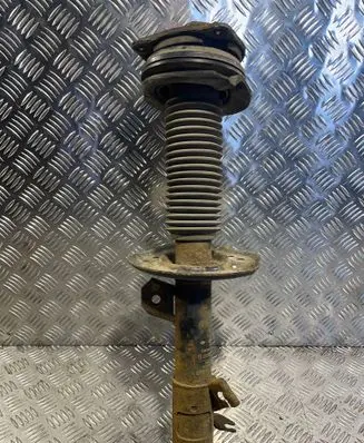 Nissan Qashqai Front shock absorber/damper 54303JD01A