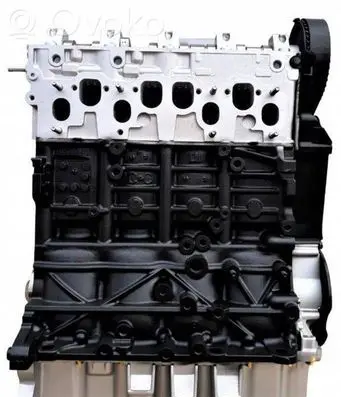 Volkswagen Multivan T5 Engine block BRR