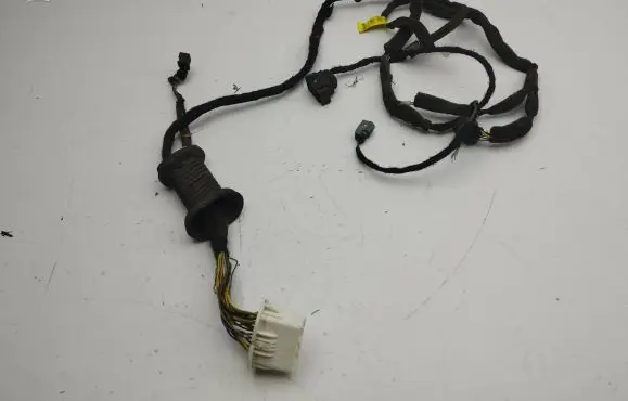 Opel Antara Front door wiring loom 95491036