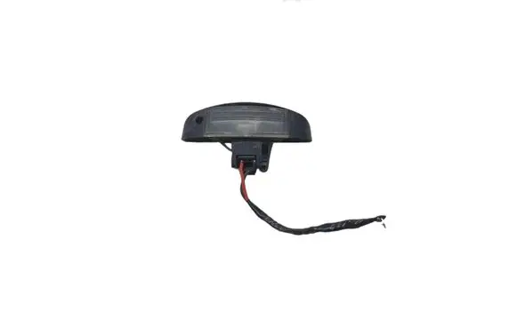 Fiat Ducato Number plate light 1303499070