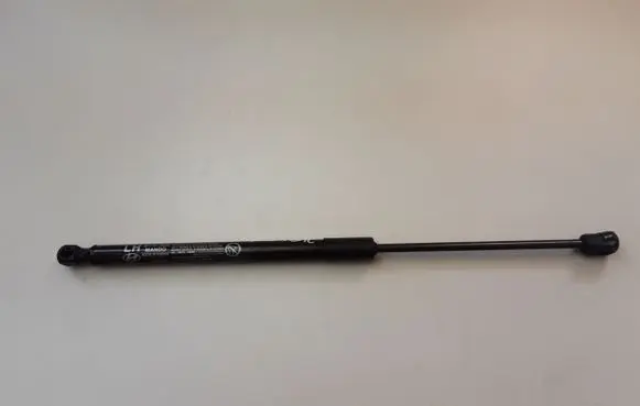 Tailgate strut