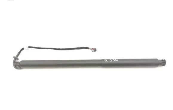 Tailgate/trunk strut/damper