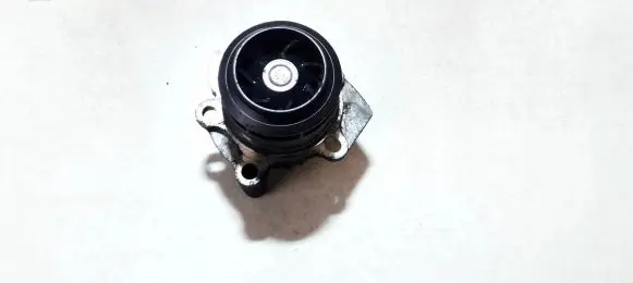 Ford Galaxy Water pump 038121031f