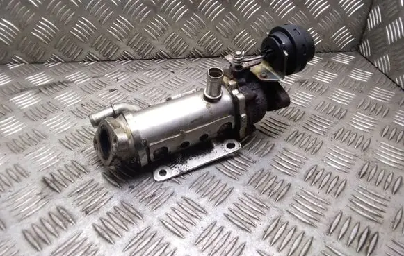 Renault Trafic II (X83) EGR valve cooler