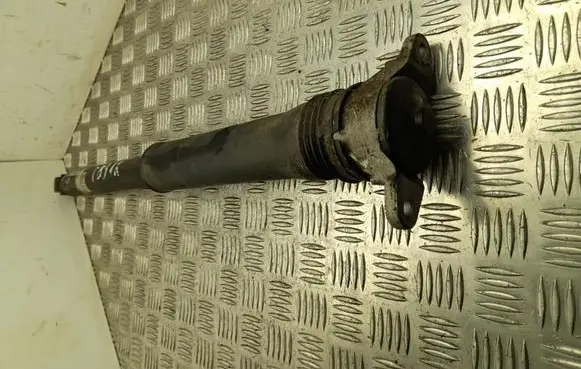 Mazda MX-30 Rear shock absorber/damper DN4E28700A