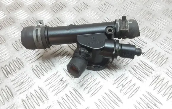 Thermostat/thermostat housing