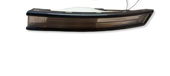 Volkswagen PASSAT B6 Front indicator light 3C0953041L