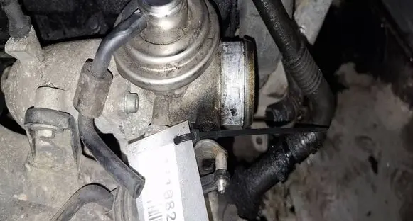 Seat Ibiza III (6L) EGR valve 045131501C