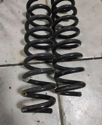 Rear coil spring