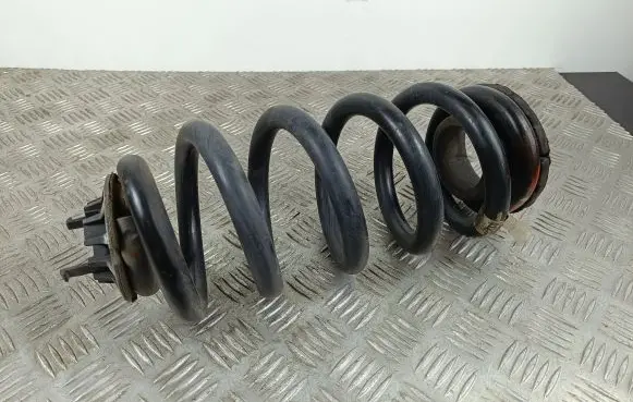 Dodge Durango Rear coil spring 05168261AB