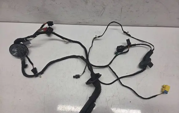 Audi S5 Front door wiring loom 8T8971029R 31072009 TAB010766QH