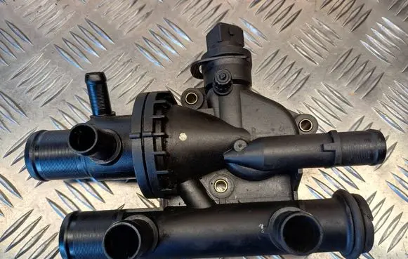 Thermostat/thermostat housing