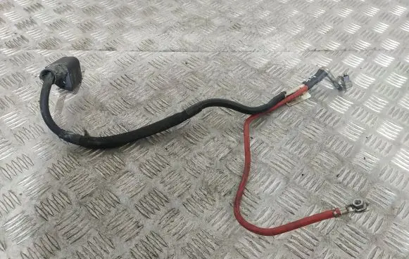 Positive wiring loom
