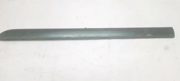 Rear door trim (molding)