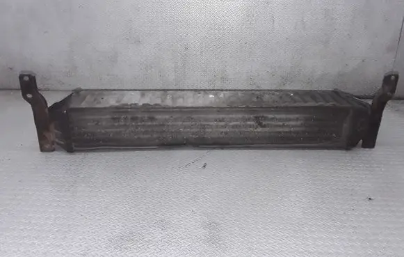 Volkswagen Sharan Intercooler radiator 7M3145805