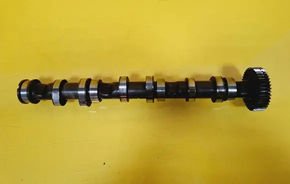 Audi Q7 4L Camshaft BUG
