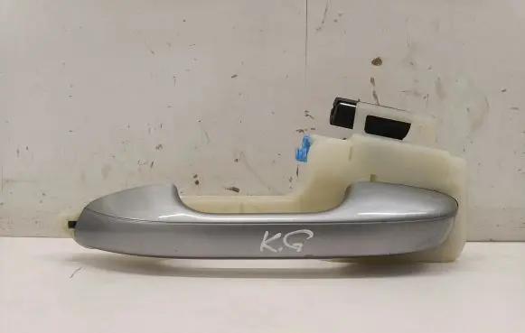 KIA Niro Rear door exterior handle