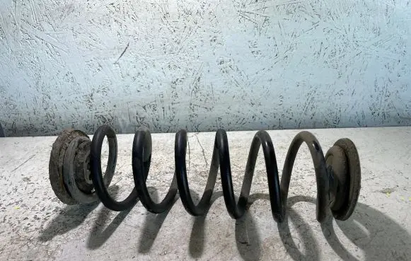 Volkswagen PASSAT B6 Rear coil spring