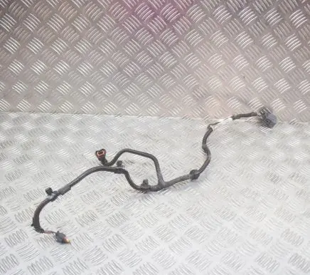 Maserati Quattroporte Other wiring loom 670007517
