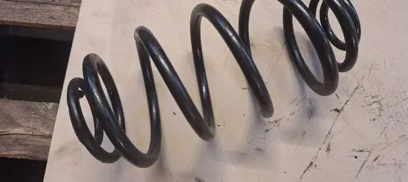 Rear coil spring