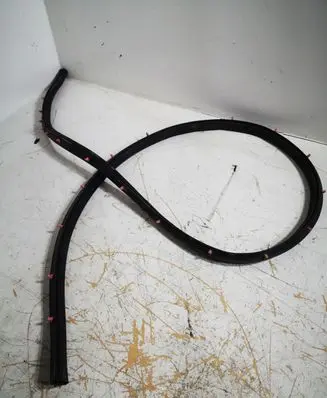 Ford Mustang VI Rubber seal front coupe door 