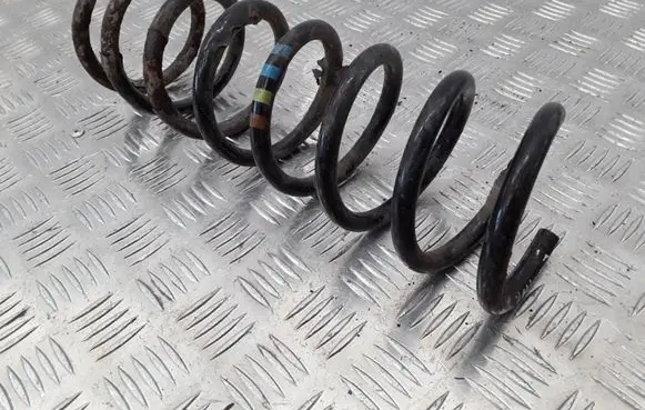 Ford Focus C-MAX Rear coil spring