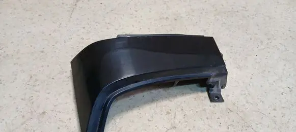 Rear/tail light trim molding