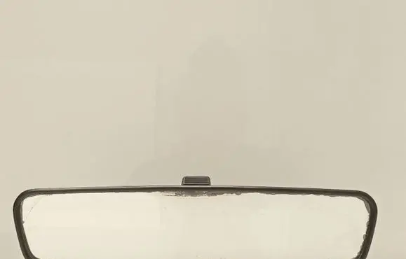 Suzuki Grand Vitara II Rear view mirror (interior) E8011083