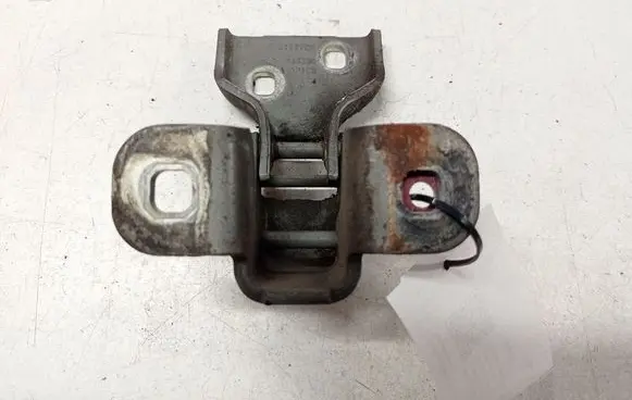 Renault Trafic II (X83) Front door lower hinge 311772M 66380