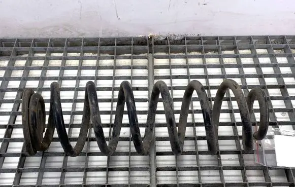 Volkswagen PASSAT B7 Rear coil spring 