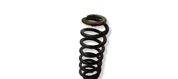 Volkswagen Tayron II Rear coil spring