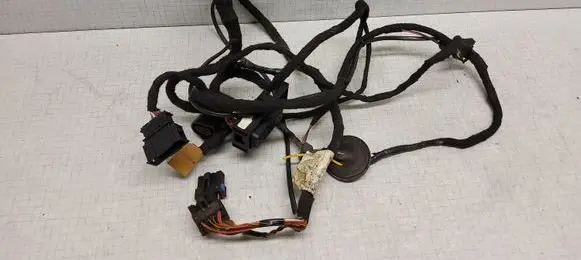 Volkswagen PASSAT B5 Front door wiring loom